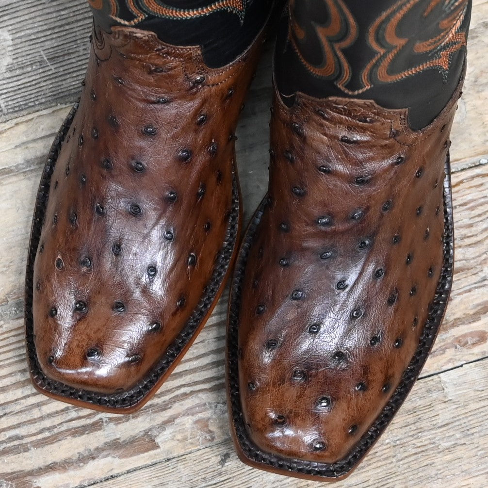 View of Hyer COLBY 13" boots showcasing Tabac Full-Quill Ostrich leather vamp and Black Top-Shelf Cowhide top with Cutter toe and Underslung heel