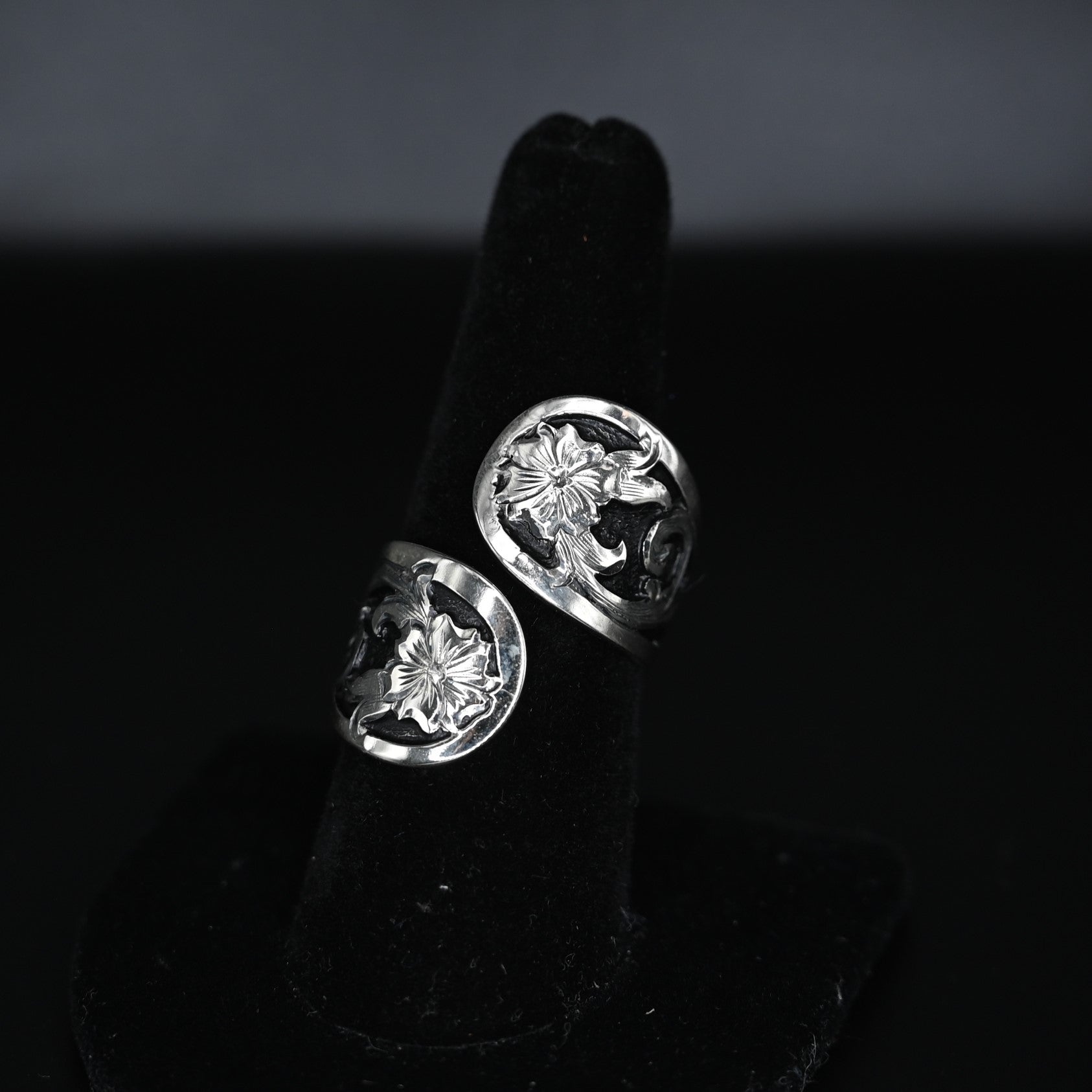 View of ring