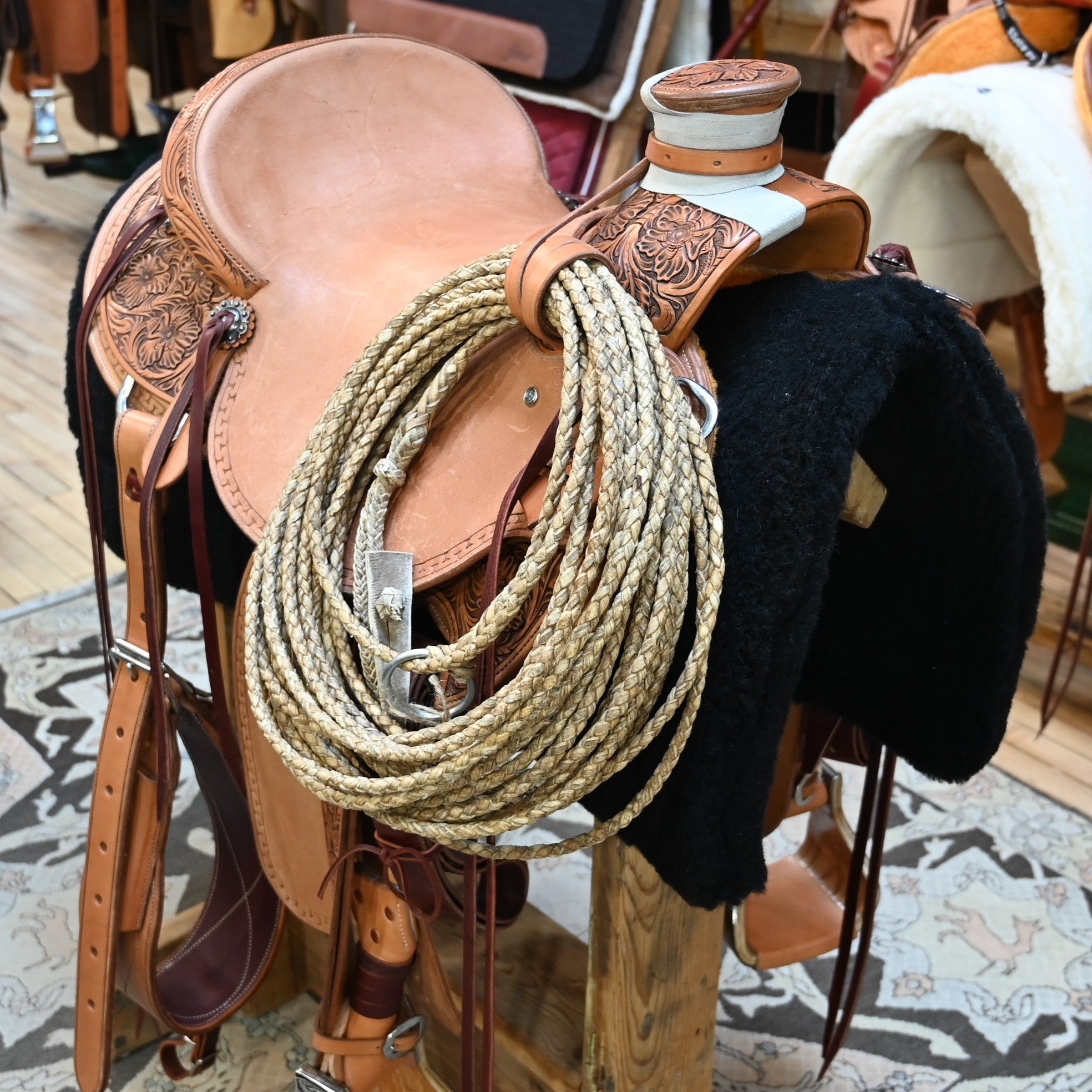 View of saddle