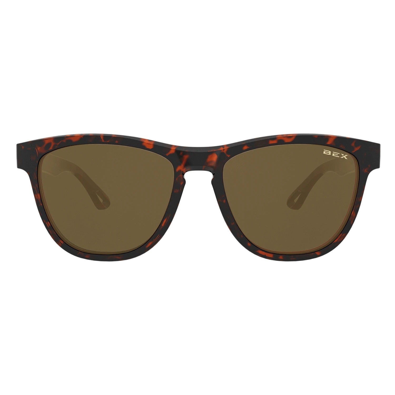 View of front of sunglasses