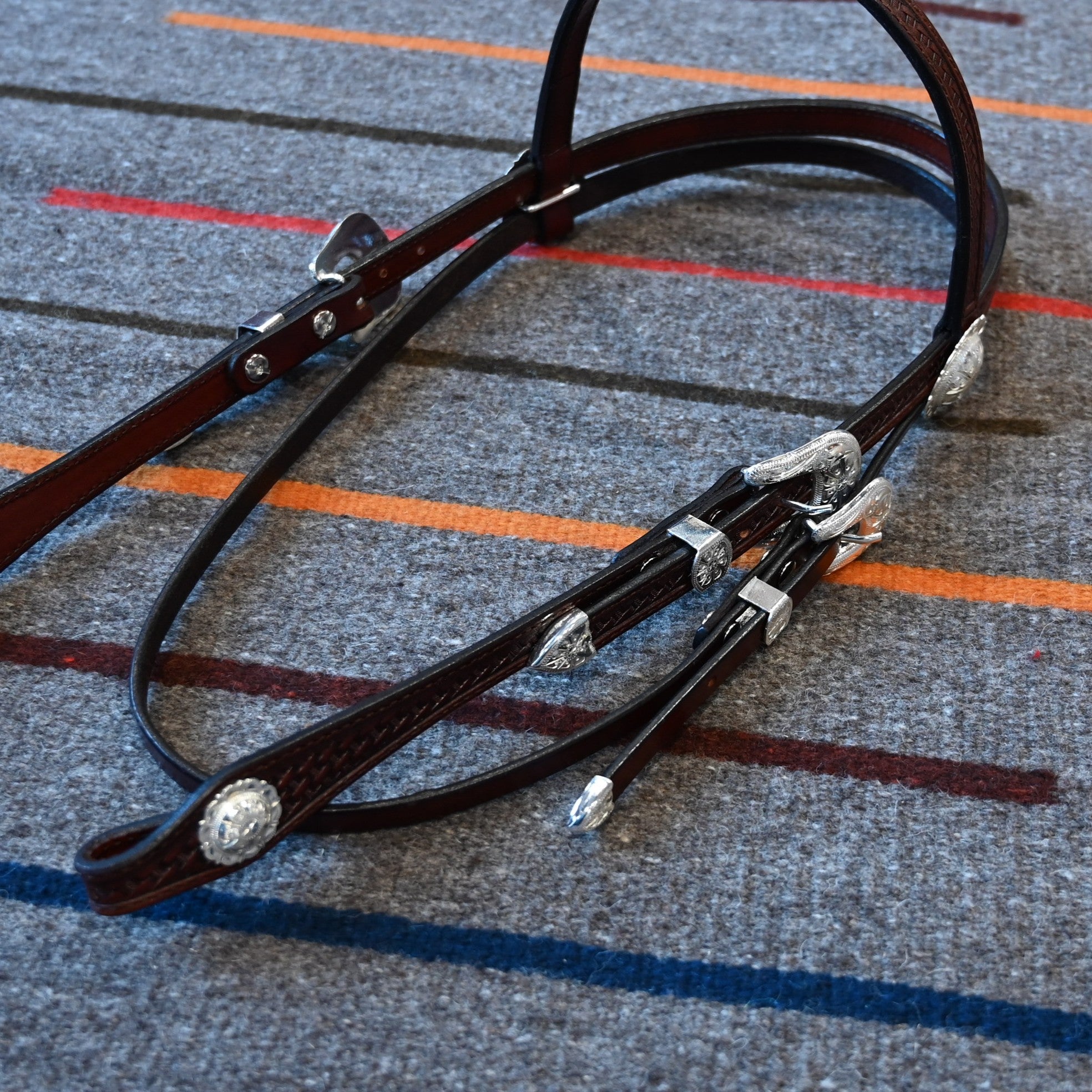 View of headstall
