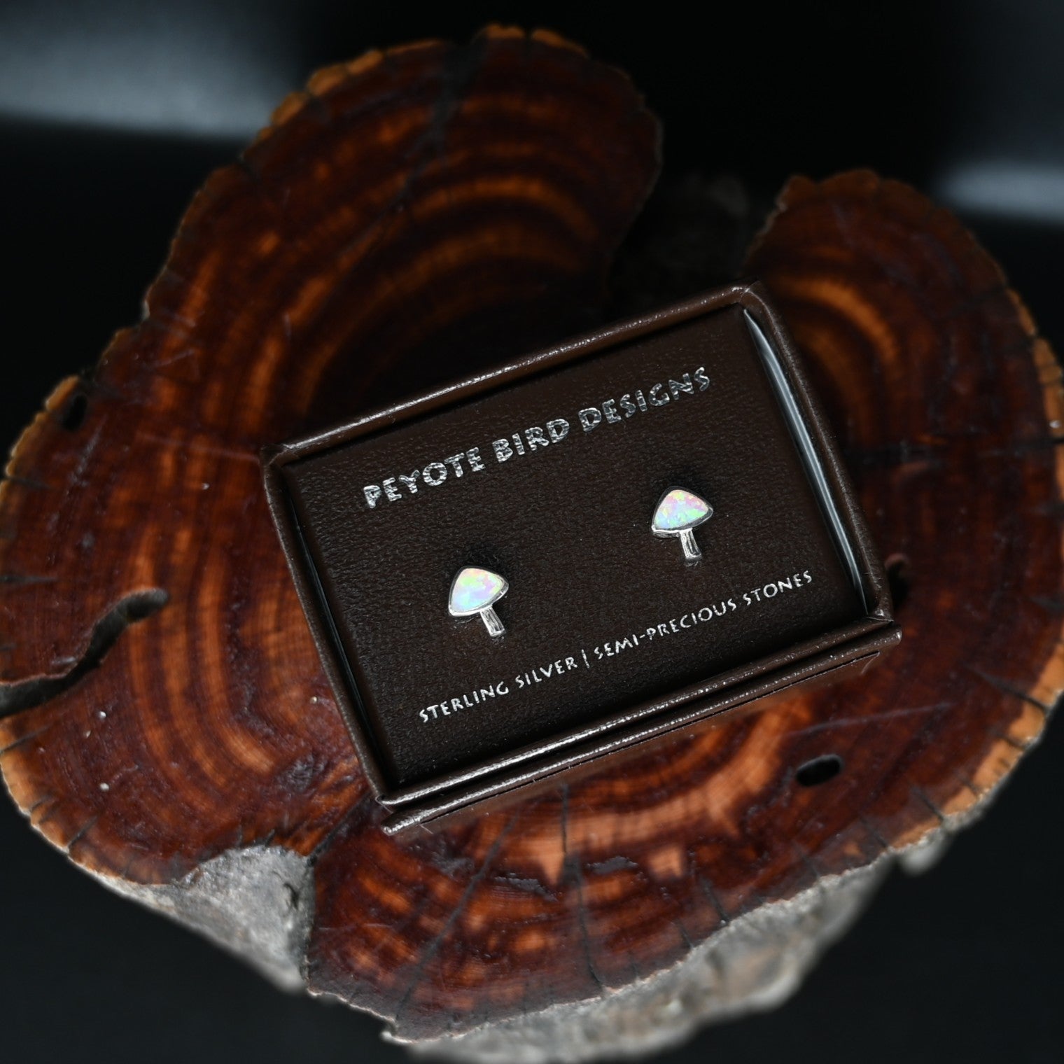 View of earrings