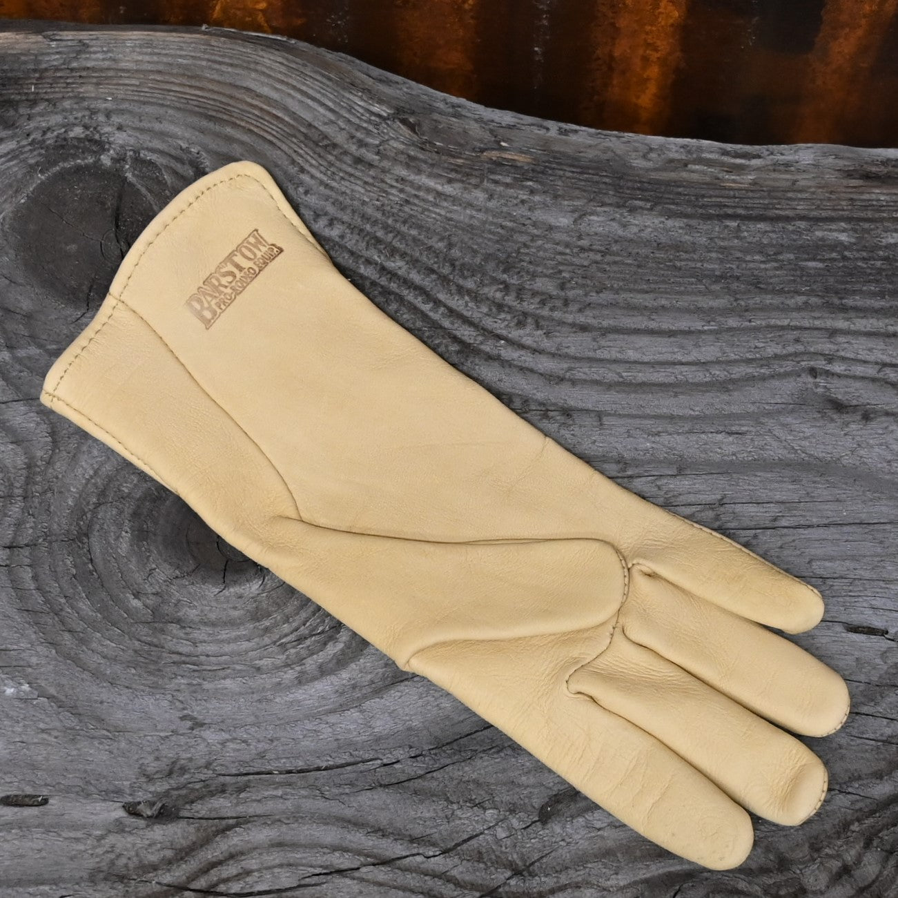 View of glove