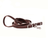 View of reins