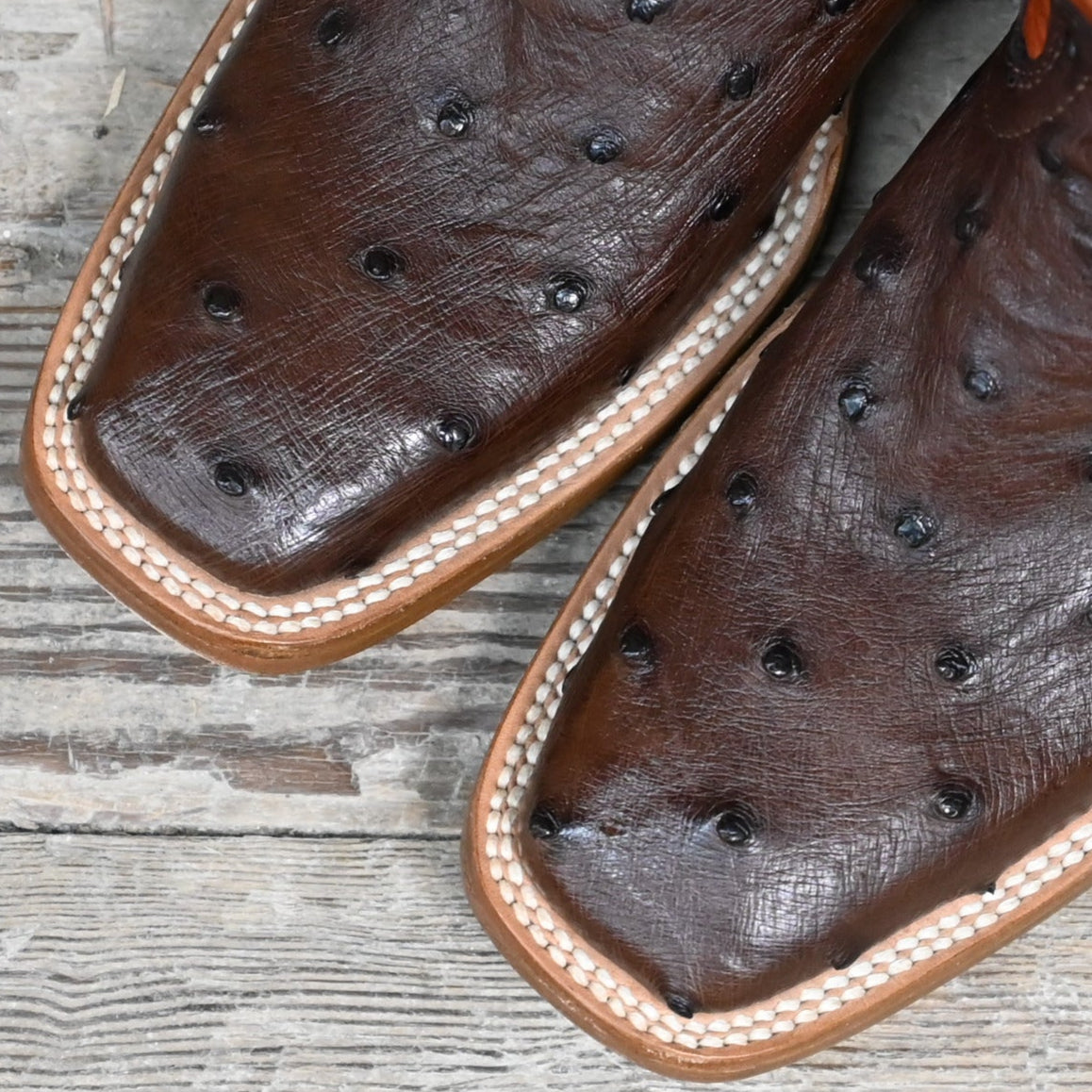 View of Hondo 11" cowboy boot with orange volcano top, brown full quill ostrich vamp, and medium square toe