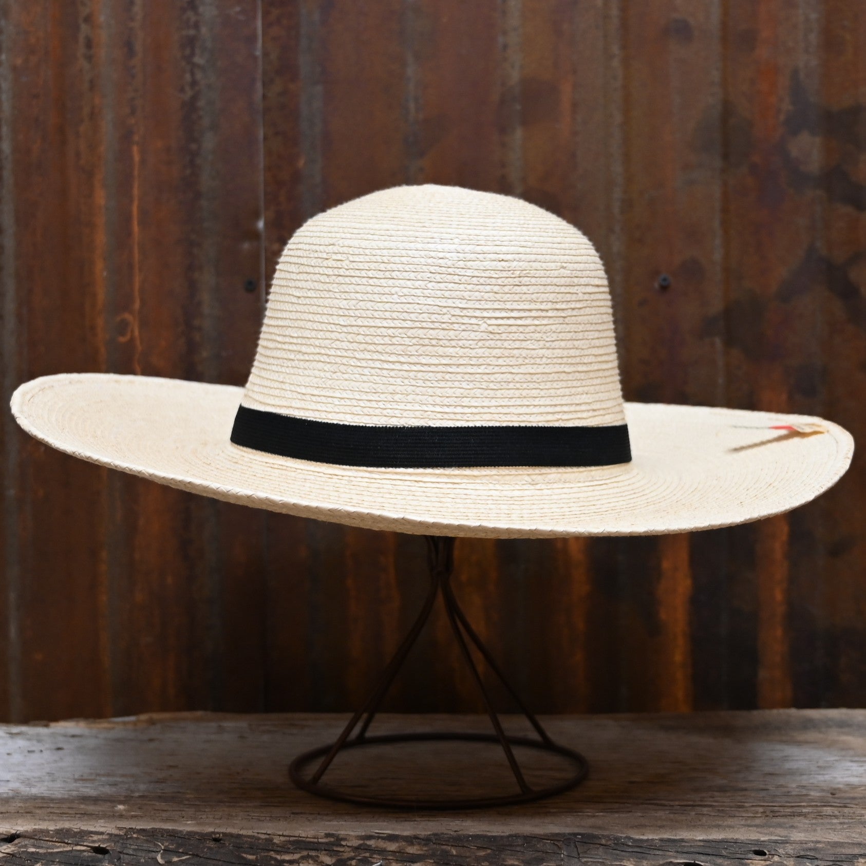 View of hat