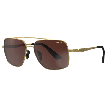 View of sunglasses
