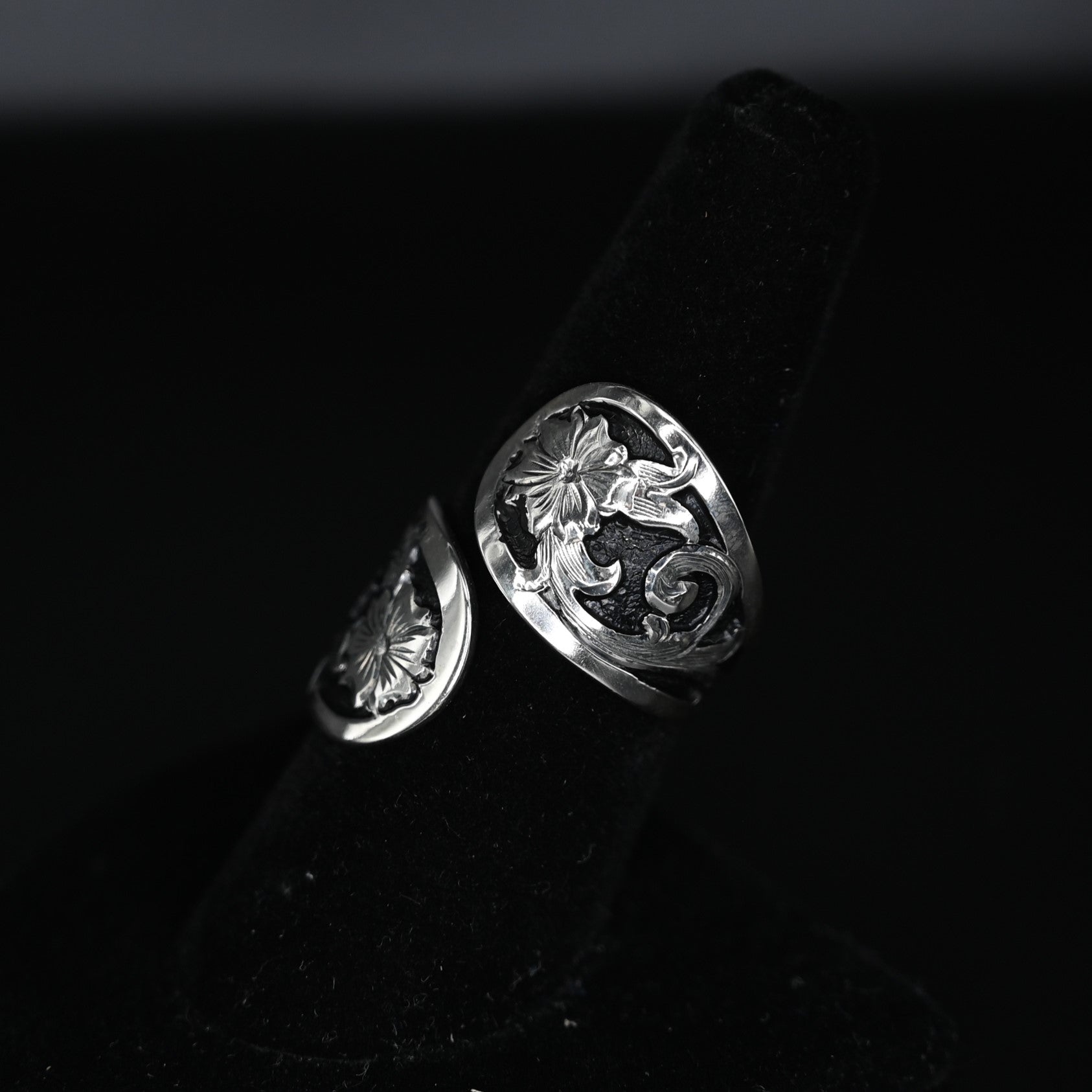 View of ring