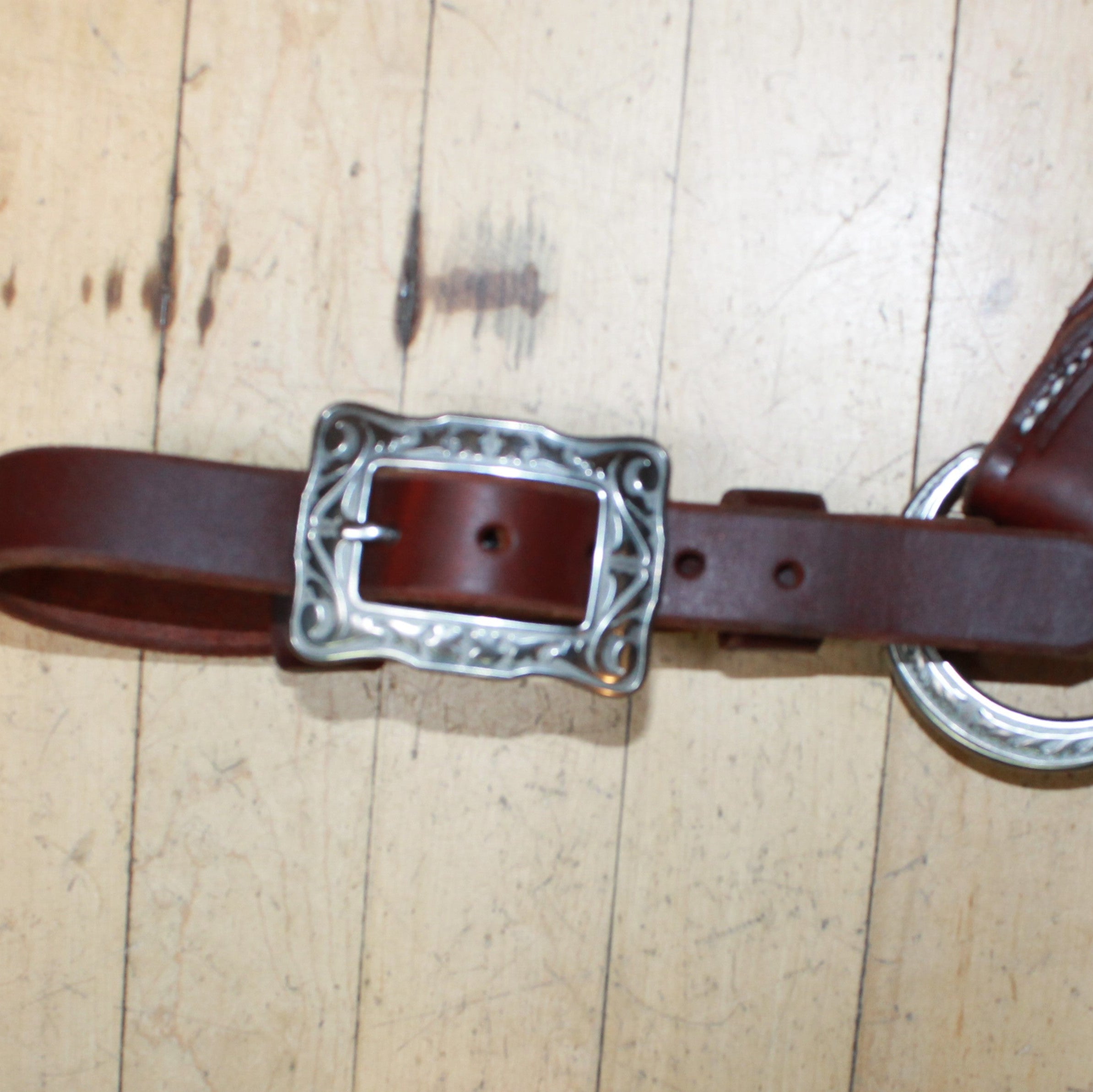 View of buckle