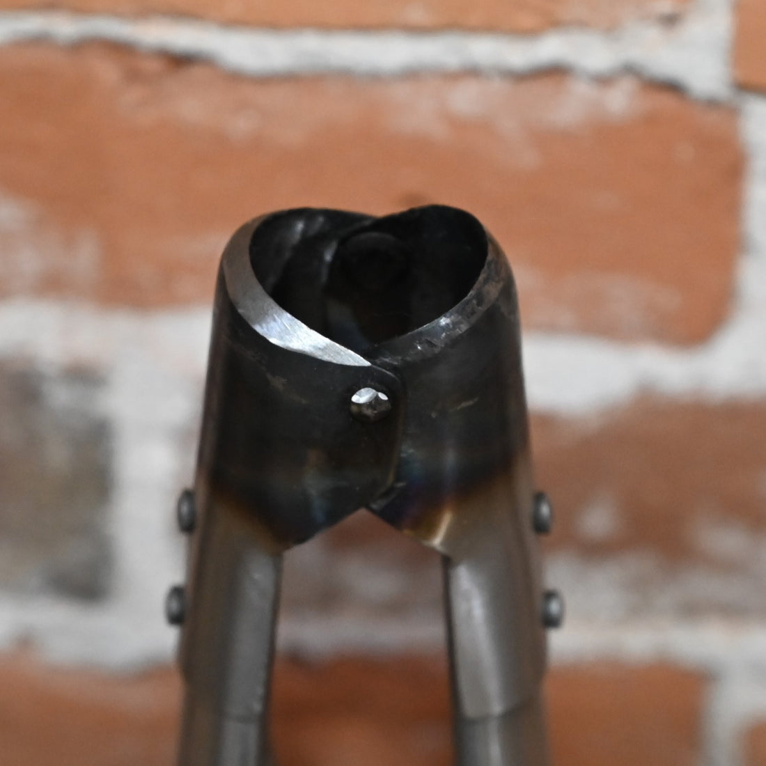 Barnes Dehorner Size 2 for Small-Calves