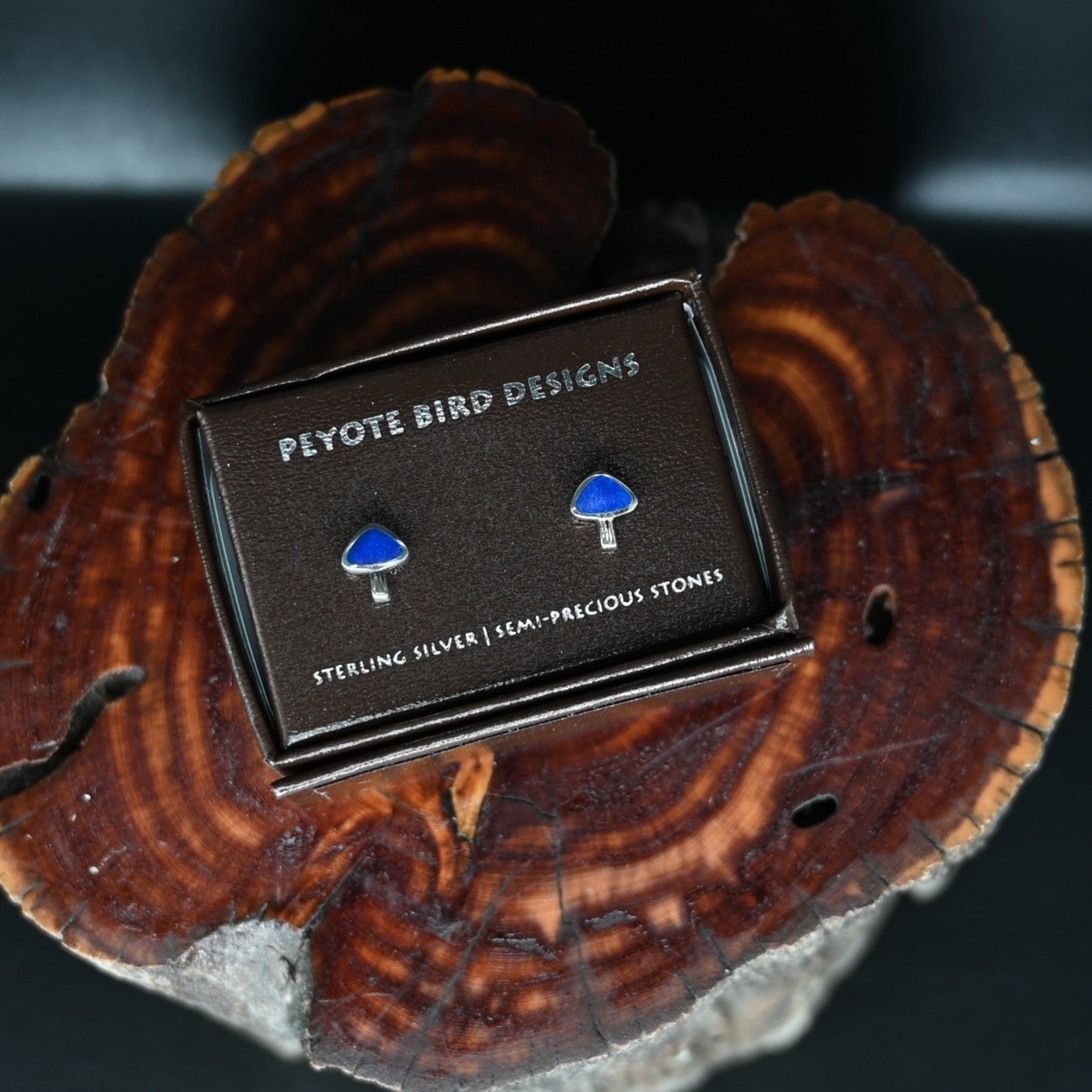 View of earrings