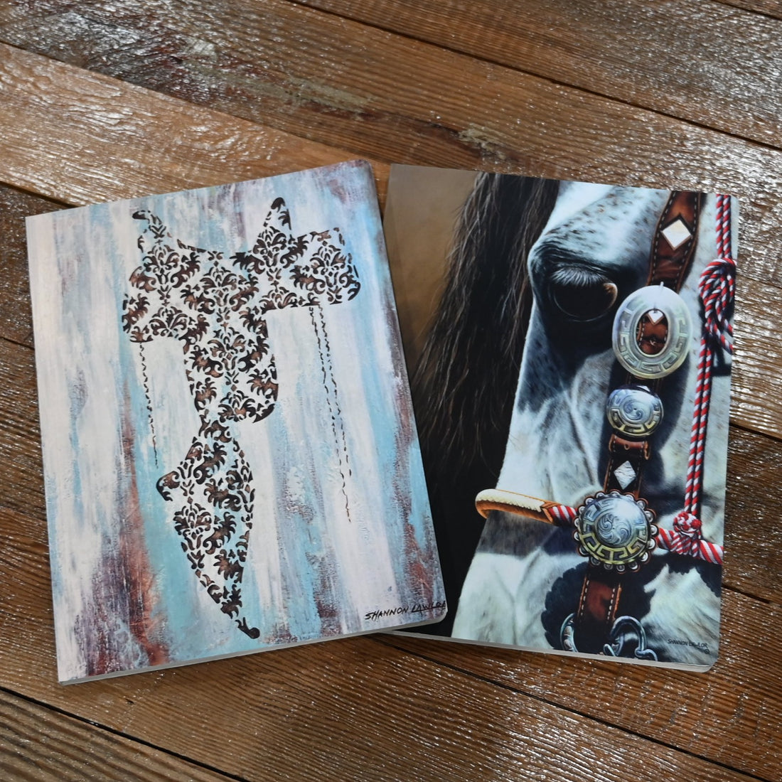 View of saddle and concho horse