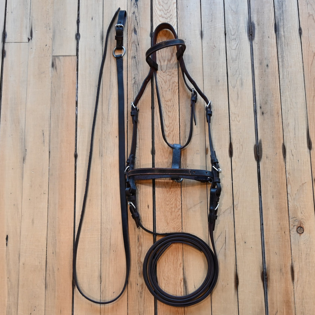 View of bosal with leadline and split reins