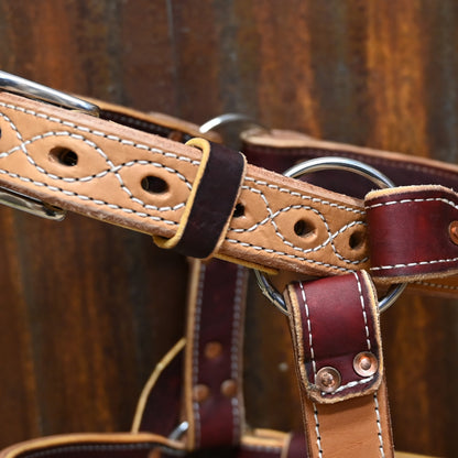 View of bronc halter close up