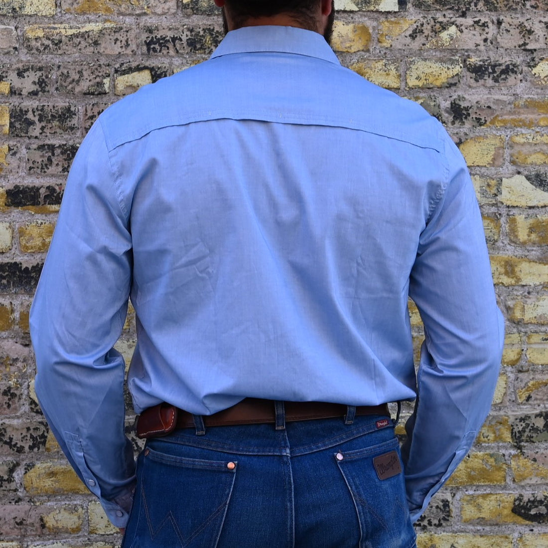 Gaucho Snapshirt-Irie Hibiscus in Faded Blue Oxford view of back