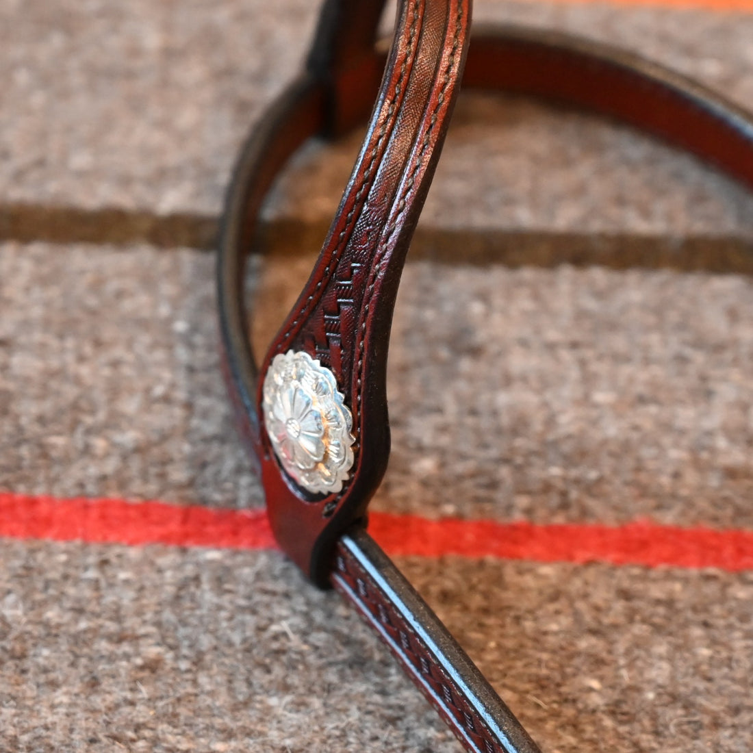 View of headstall