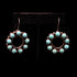 View of earrings