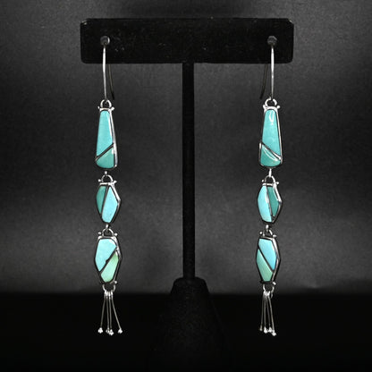 View of earrings