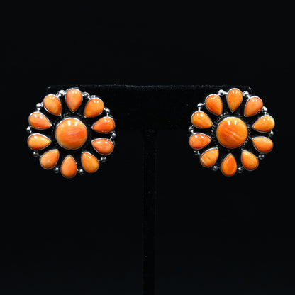 View of earrings