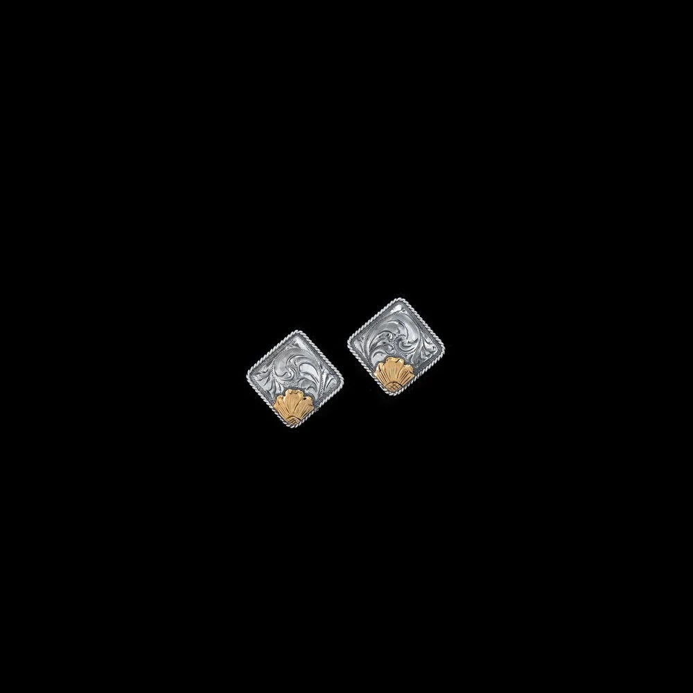 View of earrings