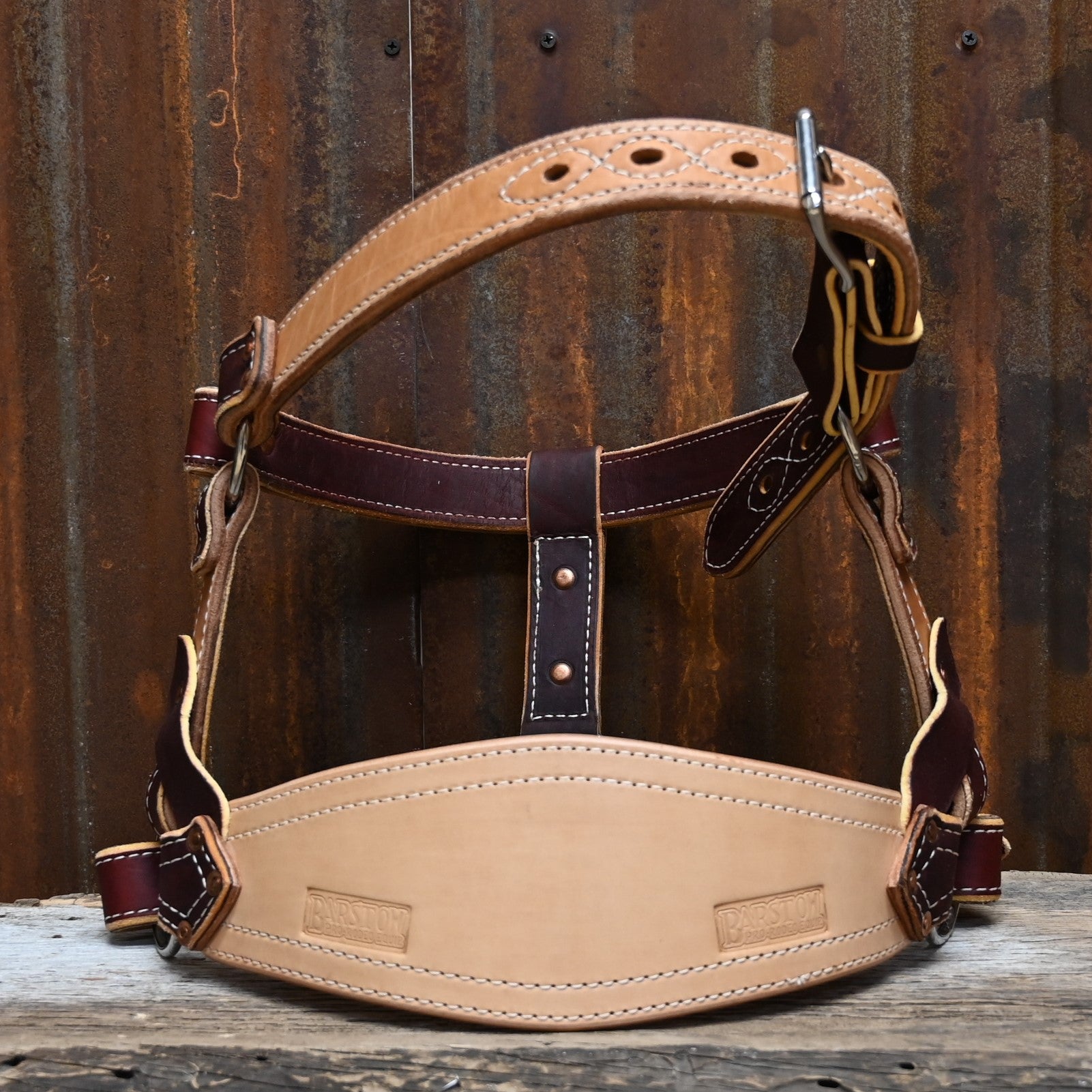 View of bronc halter