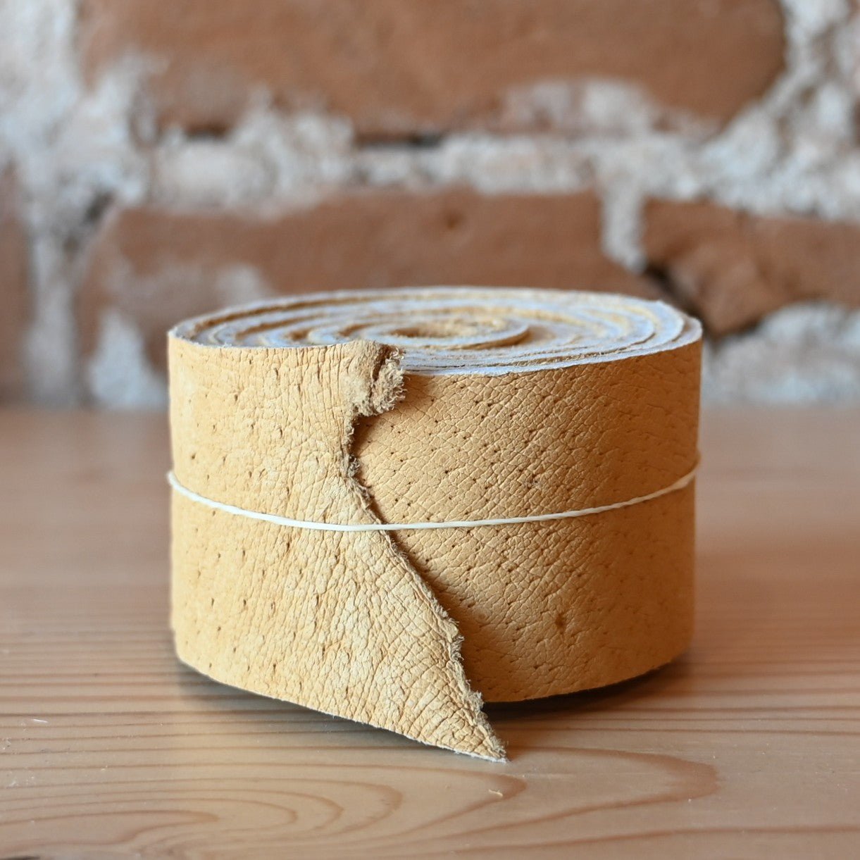 View of horn wrap