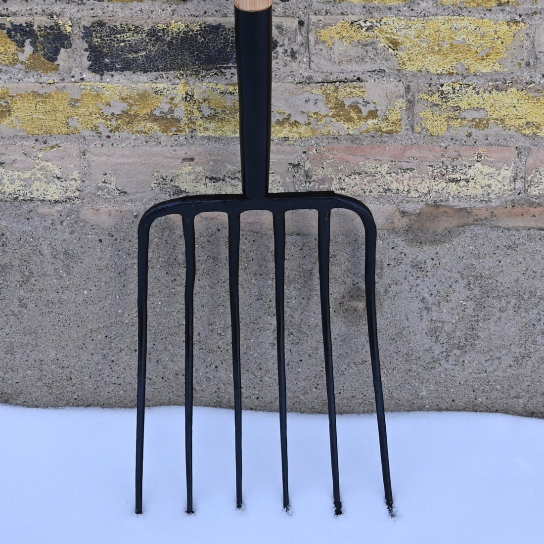 Seymour® 6 Tine Forged Manure Fork W/Hardwood Handle view of tines