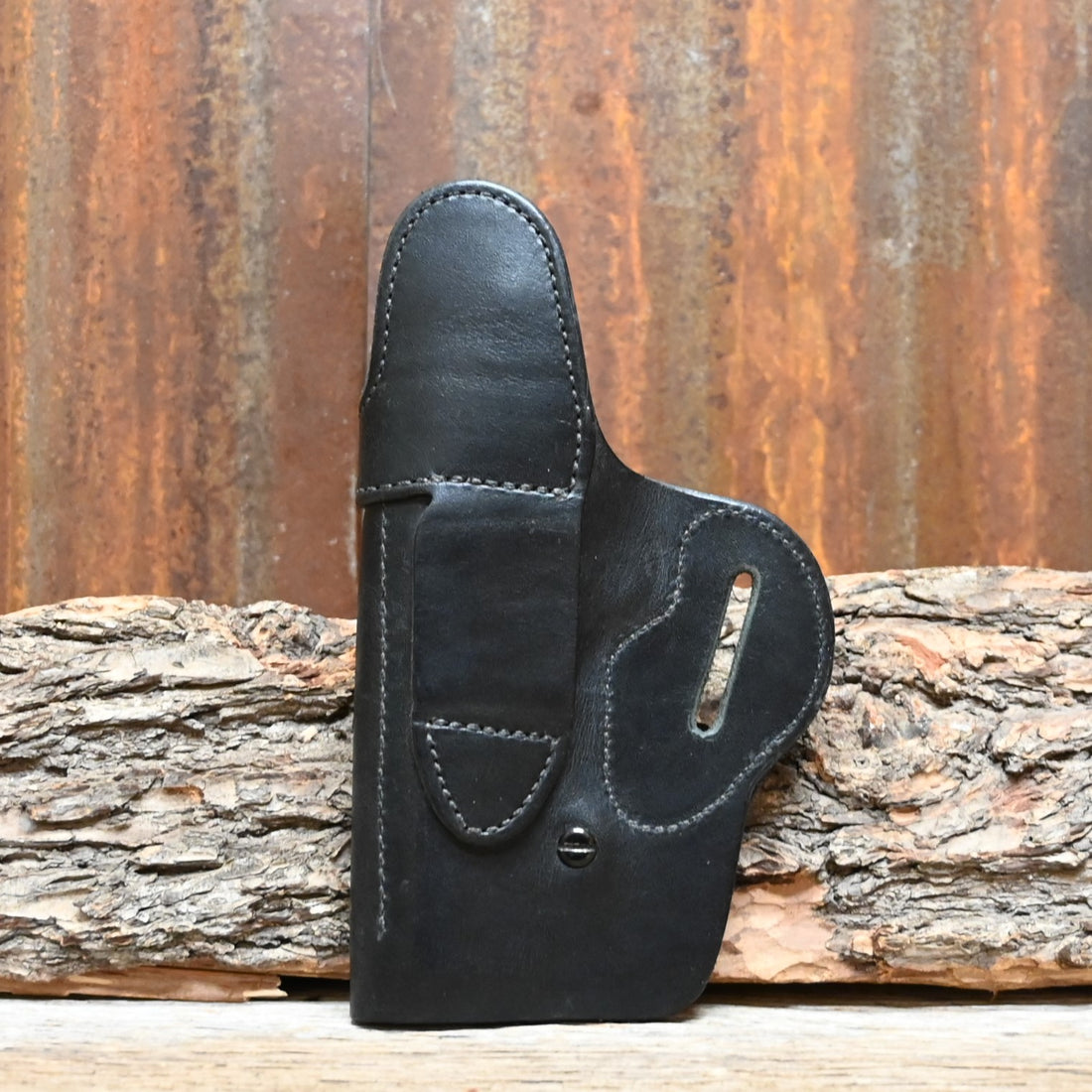 View of holster