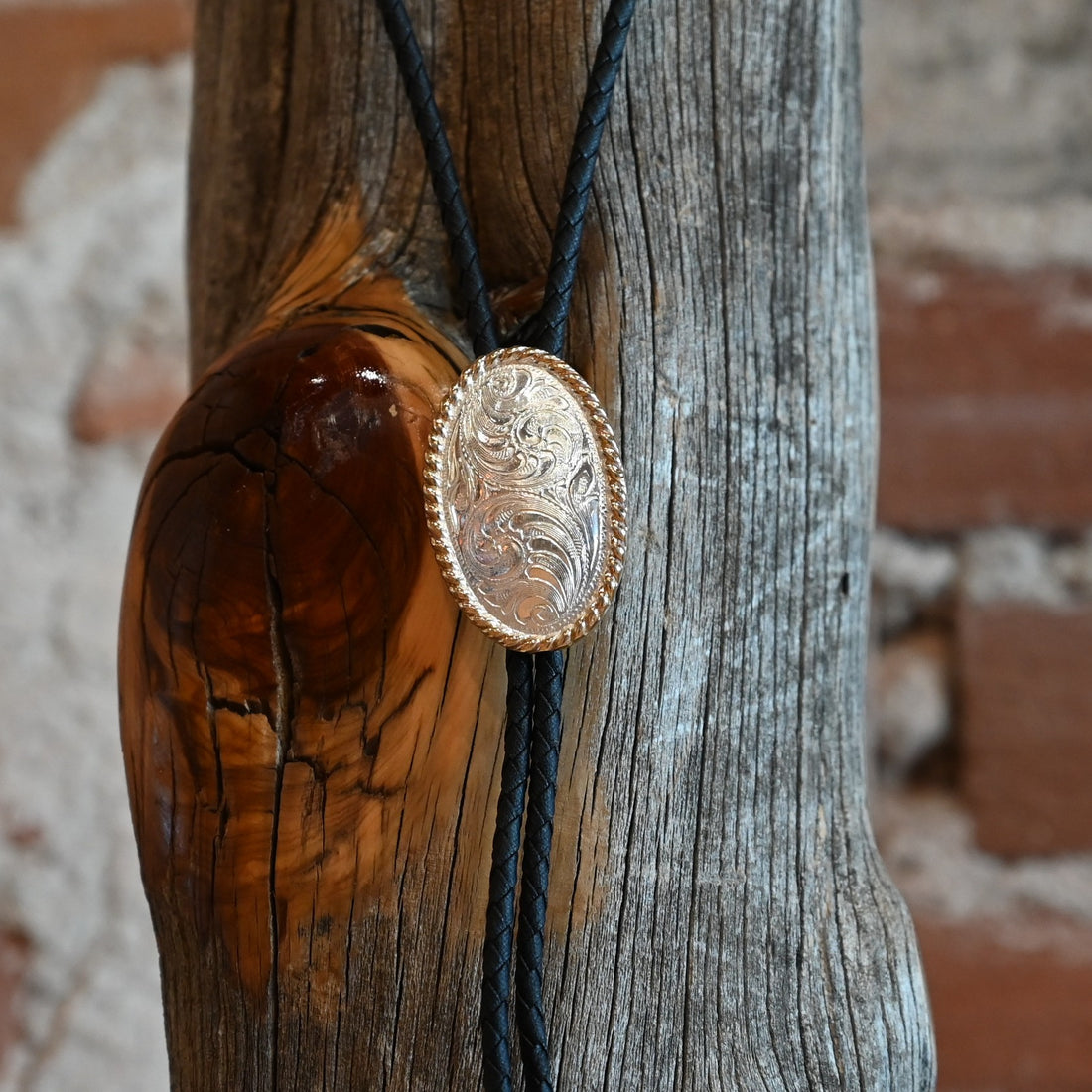 View of bolo tie