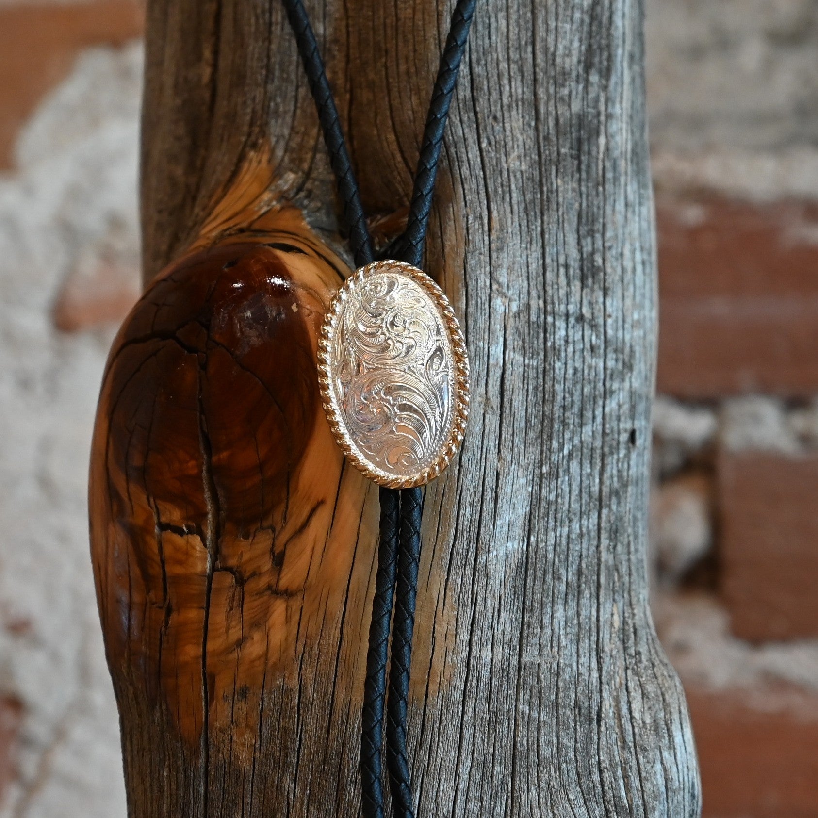 View of bolo tie