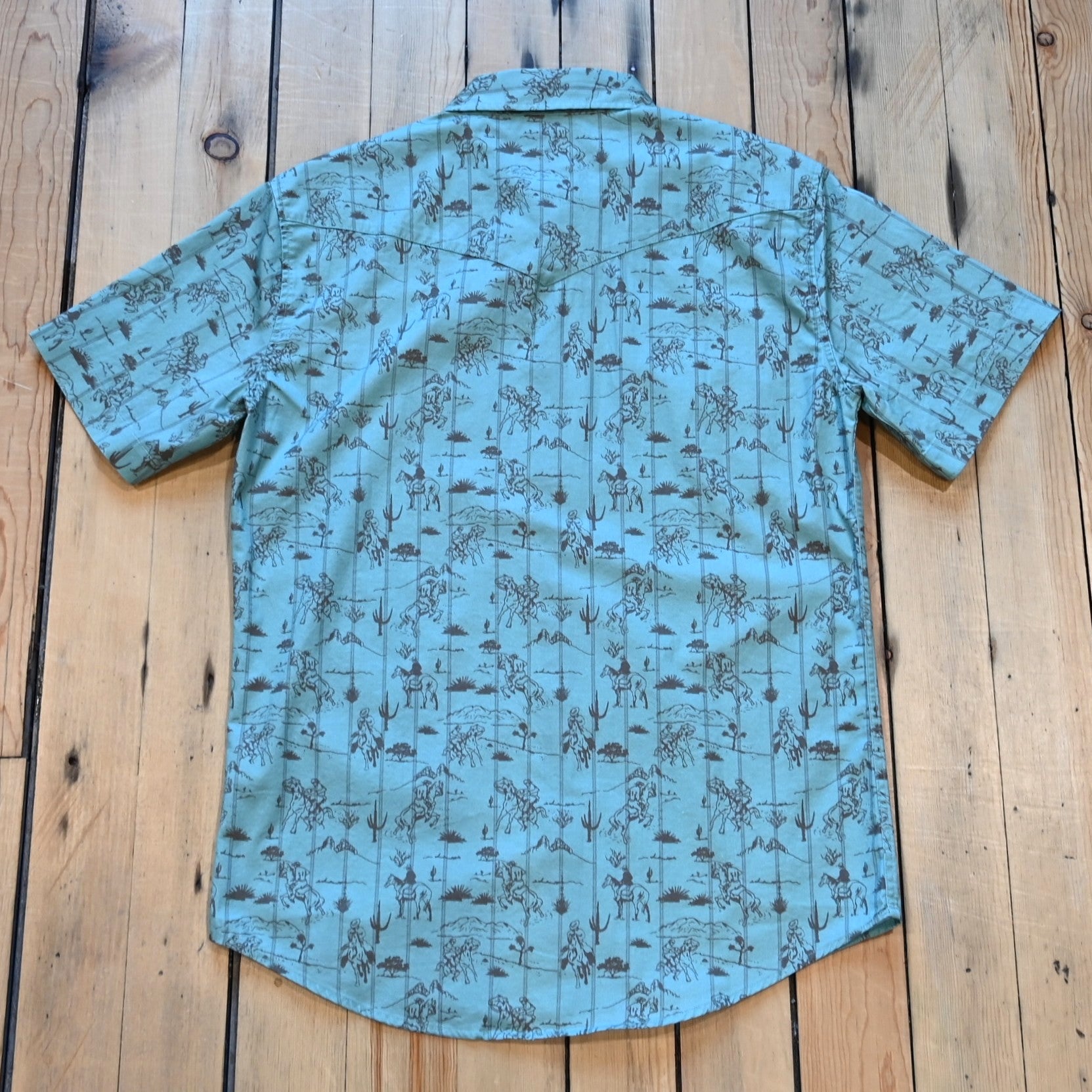 View of Sendero short sleeve pearl snap shirt in Azulado Desert Rodeo serape print