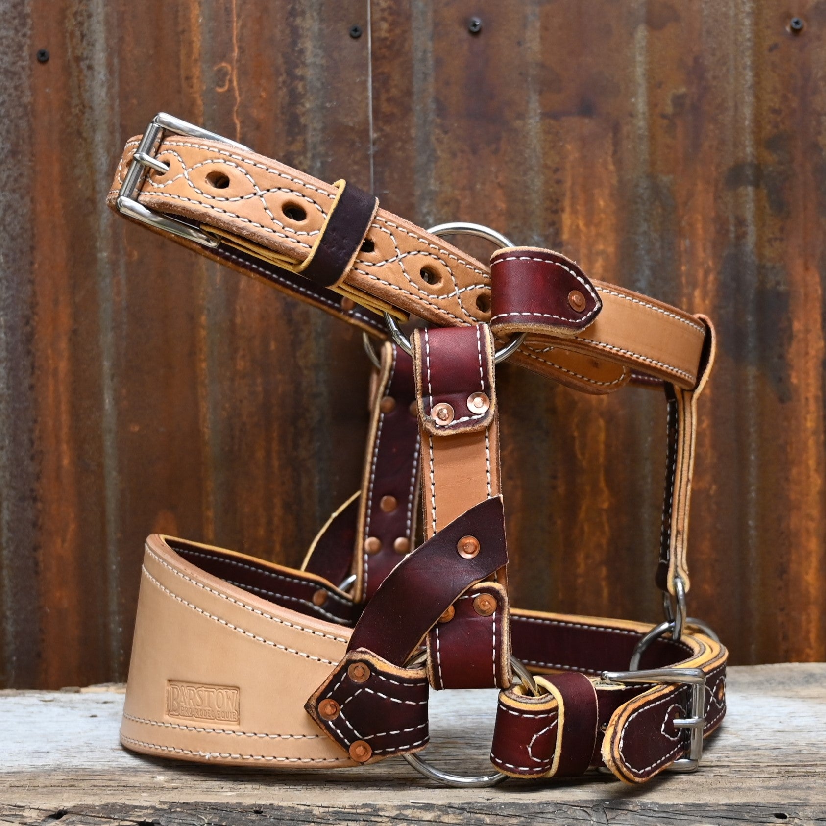 View of bronc halter