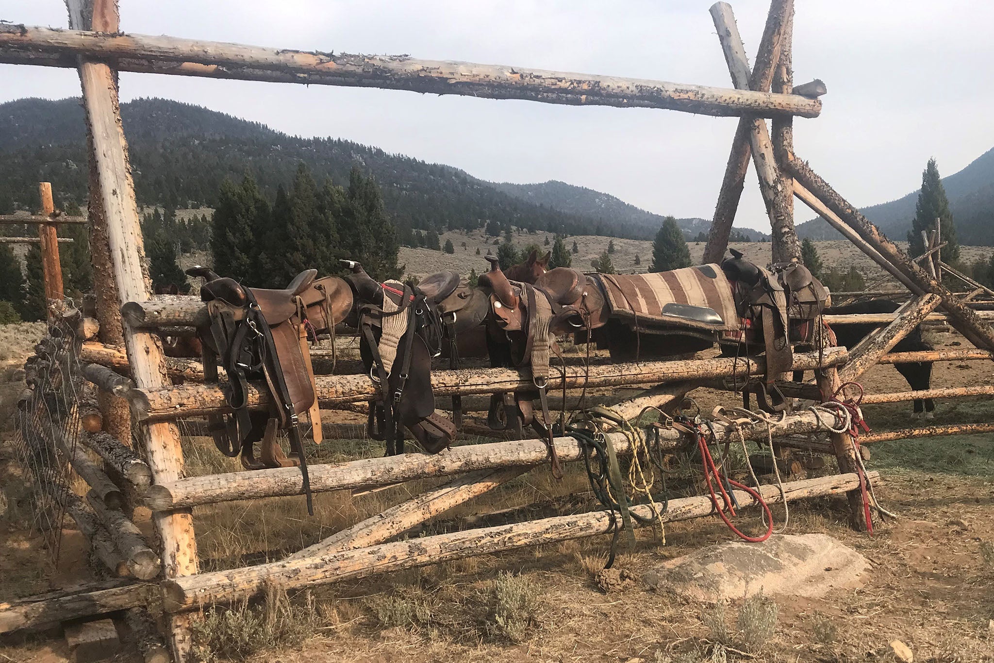 Western Saddles on a Fence 