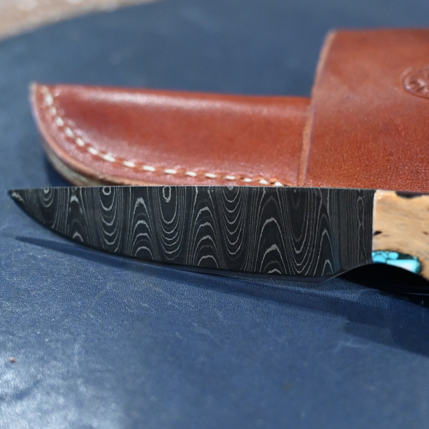 Moore Maker Damascus small game hunter knife with cholla wood handle and turquoise inlay