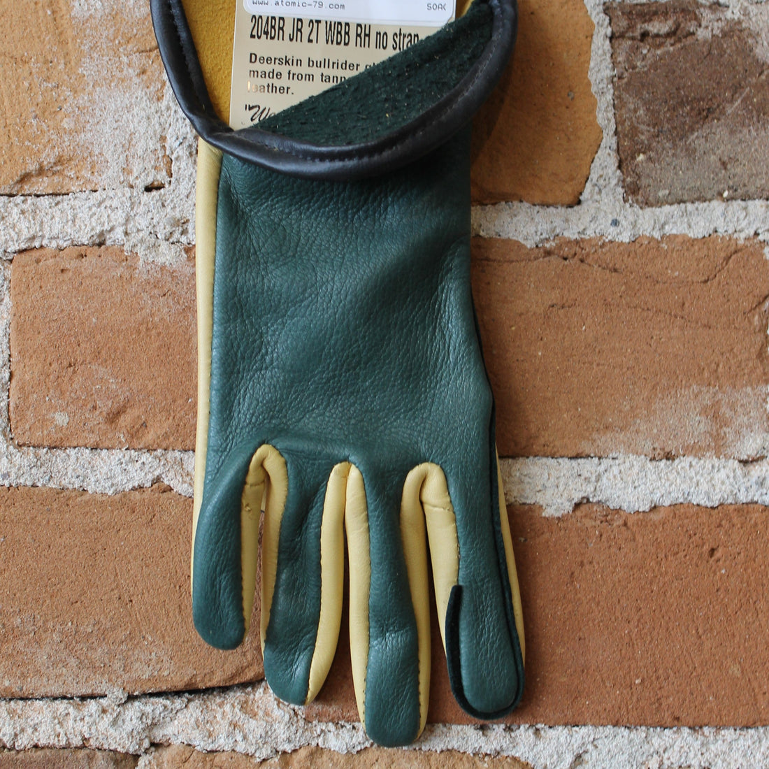 View of glove