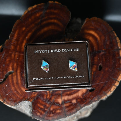 View of earrings