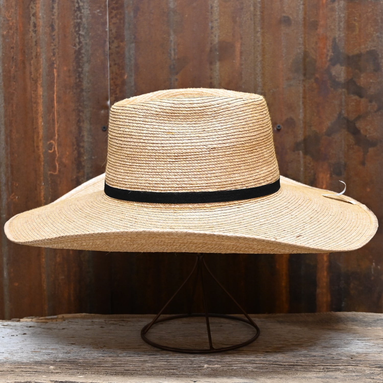 Sun Body Oak Boxtop- Natural Oak Colored Palm- 5