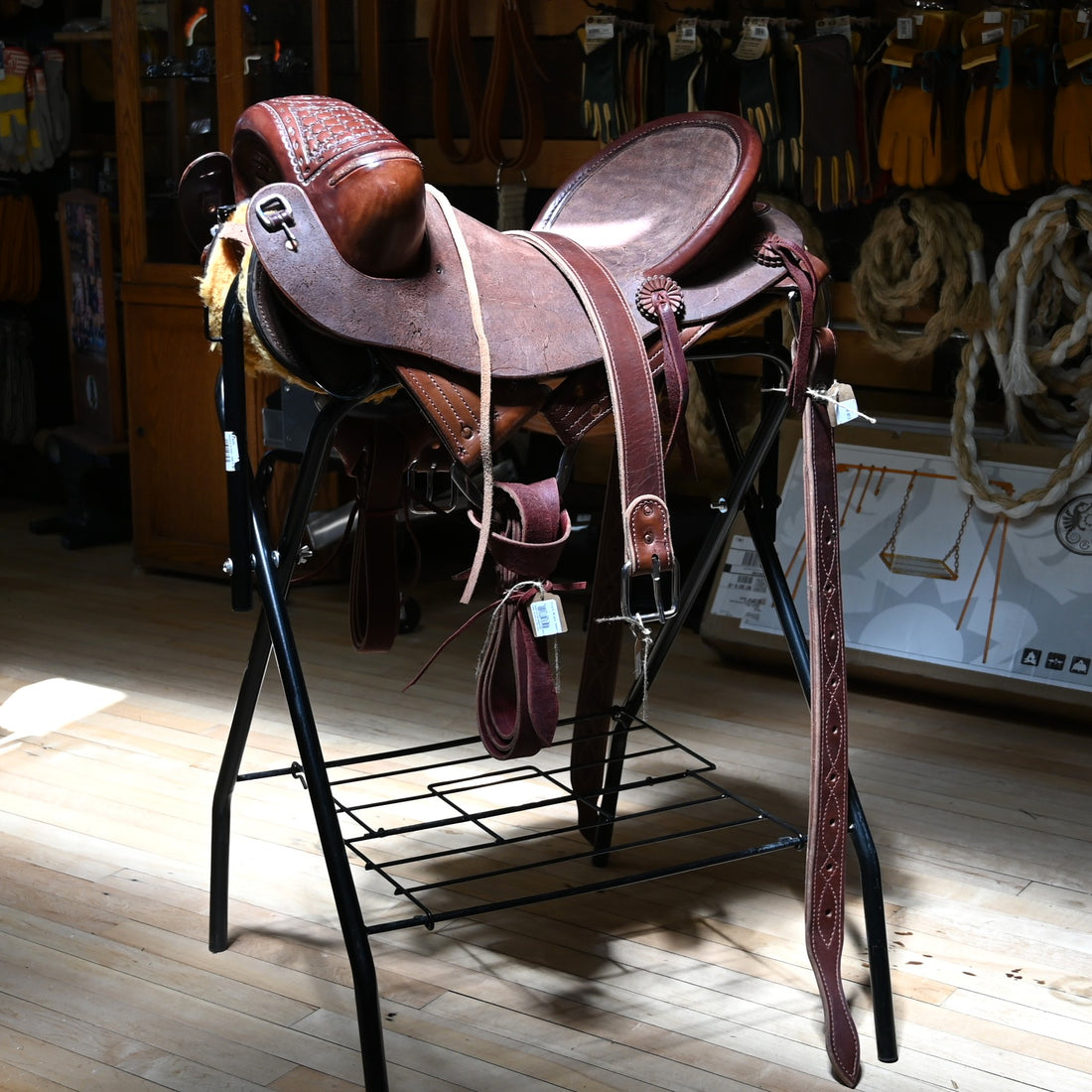 View of saddle