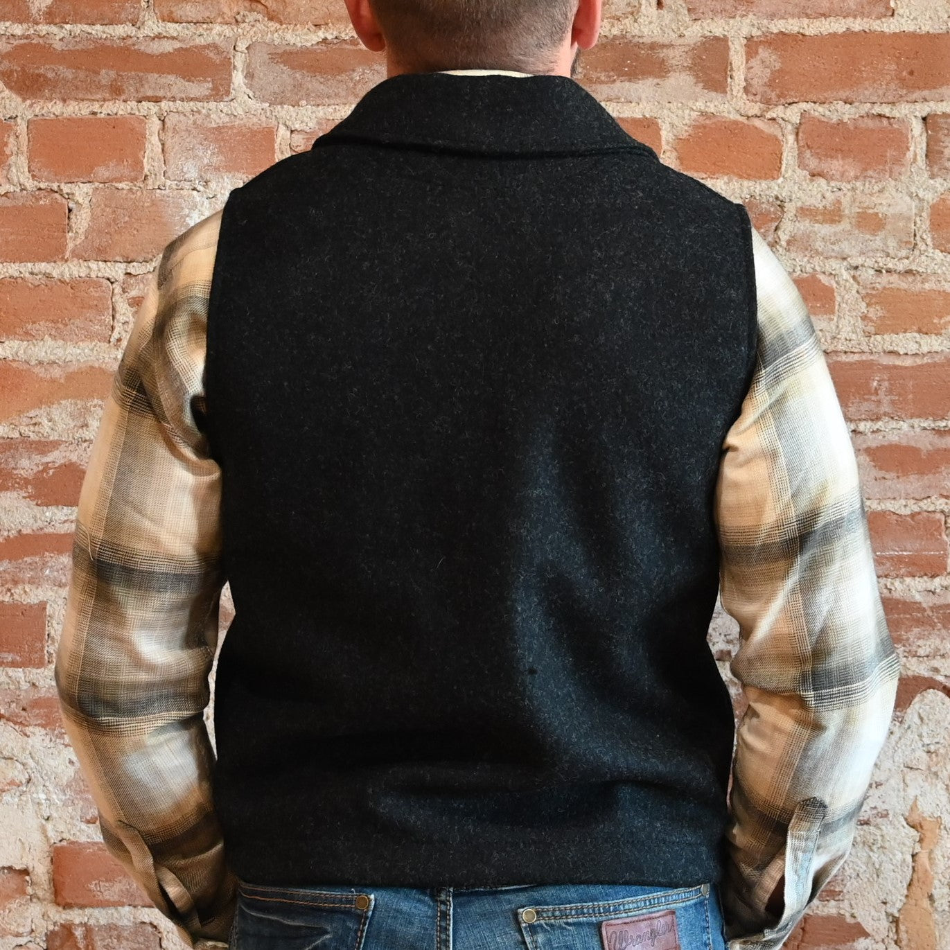 View of back of vest