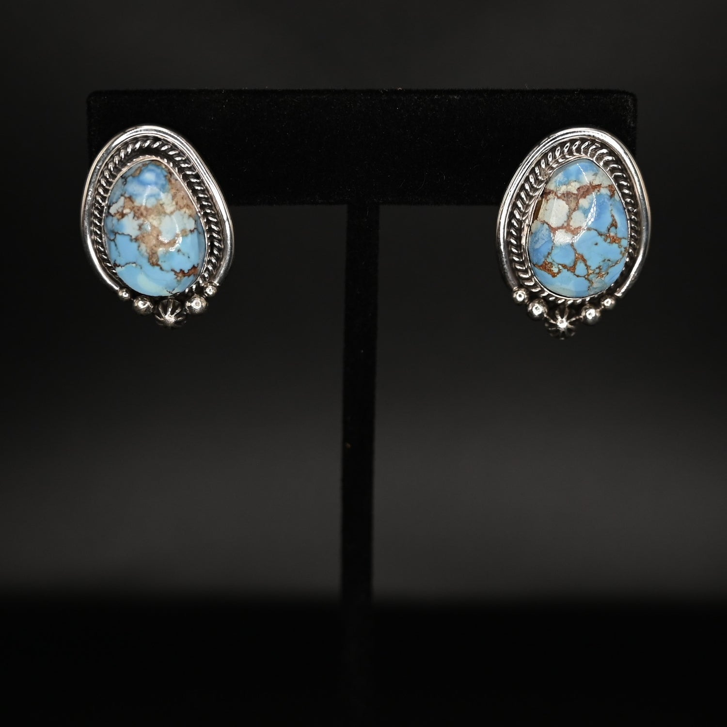 View of earrings