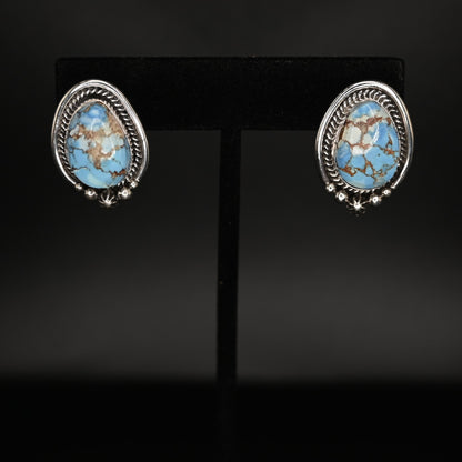 View of earrings