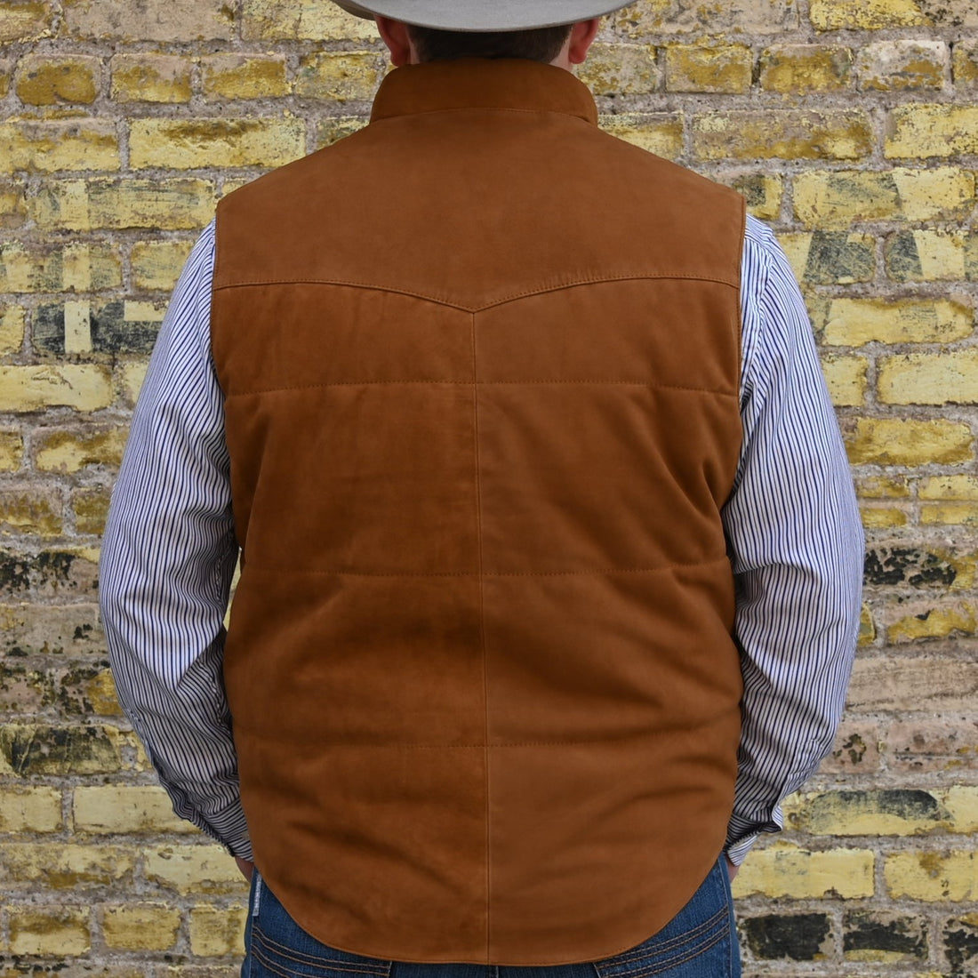 View of back of vest