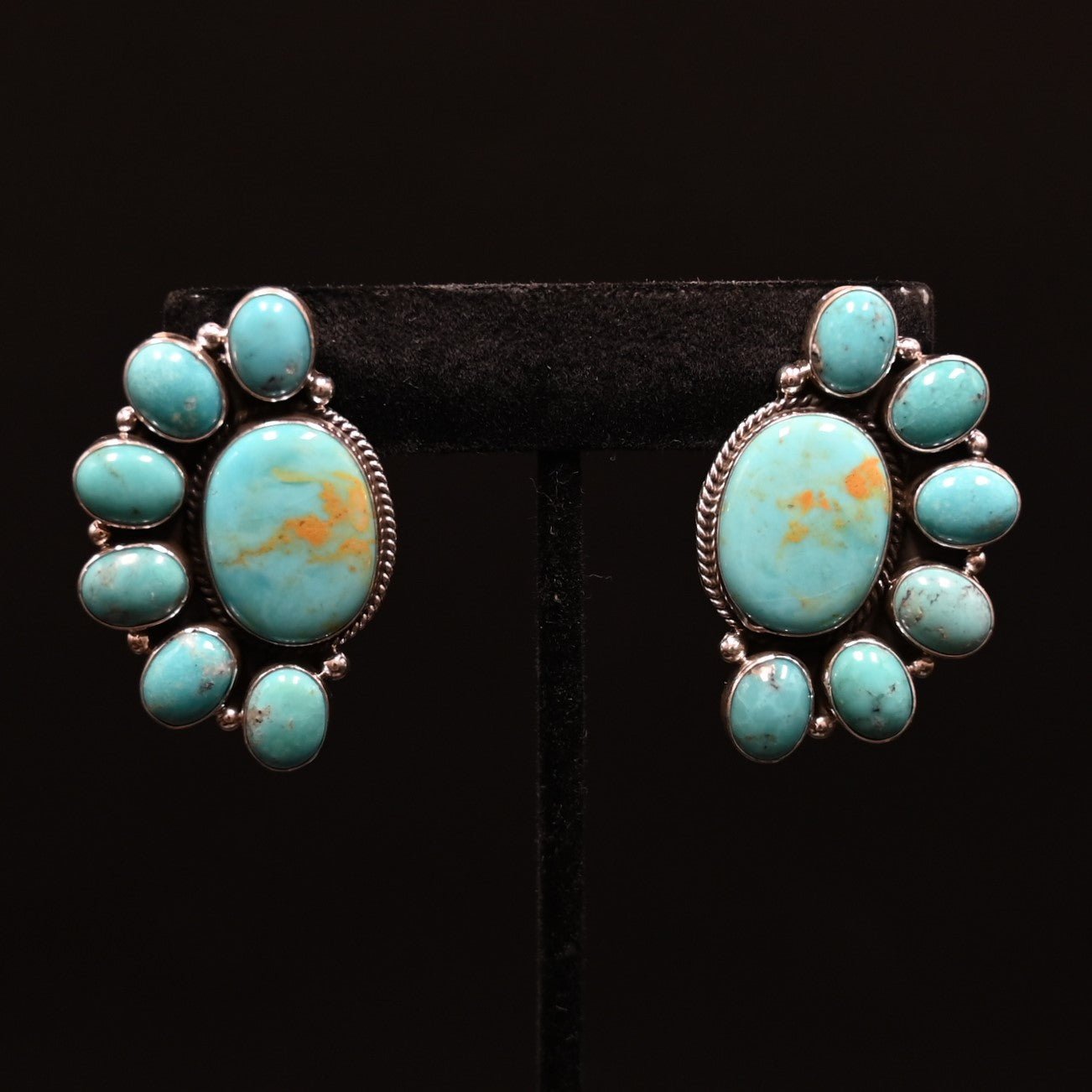 View of earrings