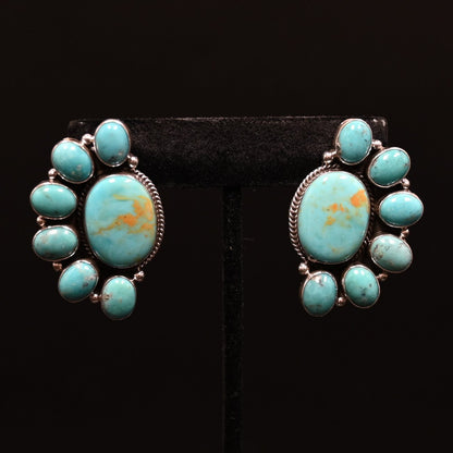 View of earrings