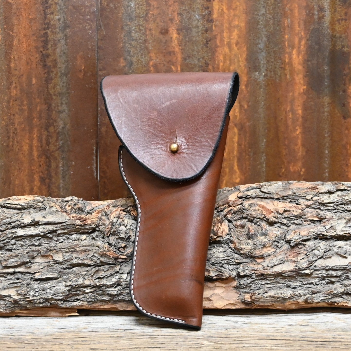 View of holster