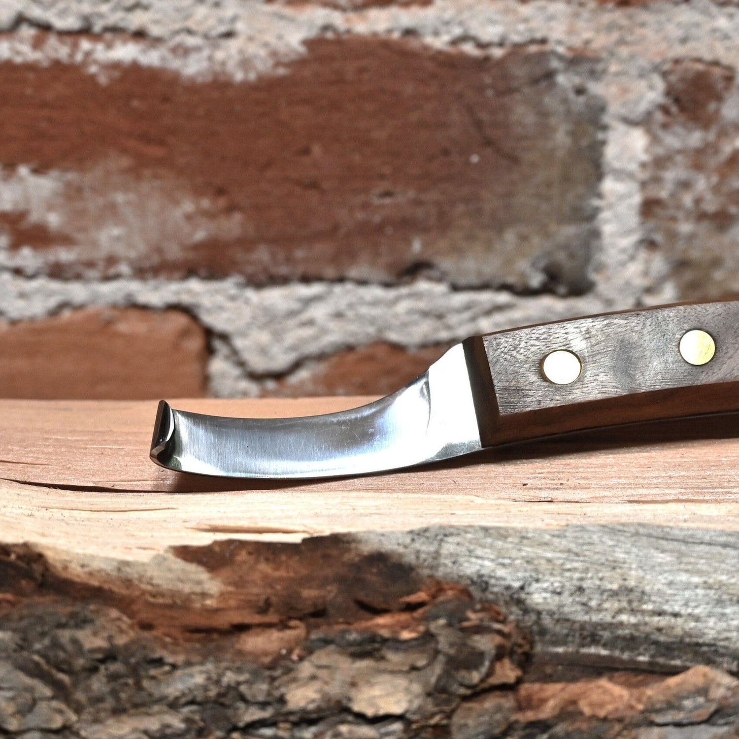 Straight Blade Long Handle Hoof Knife view of knife