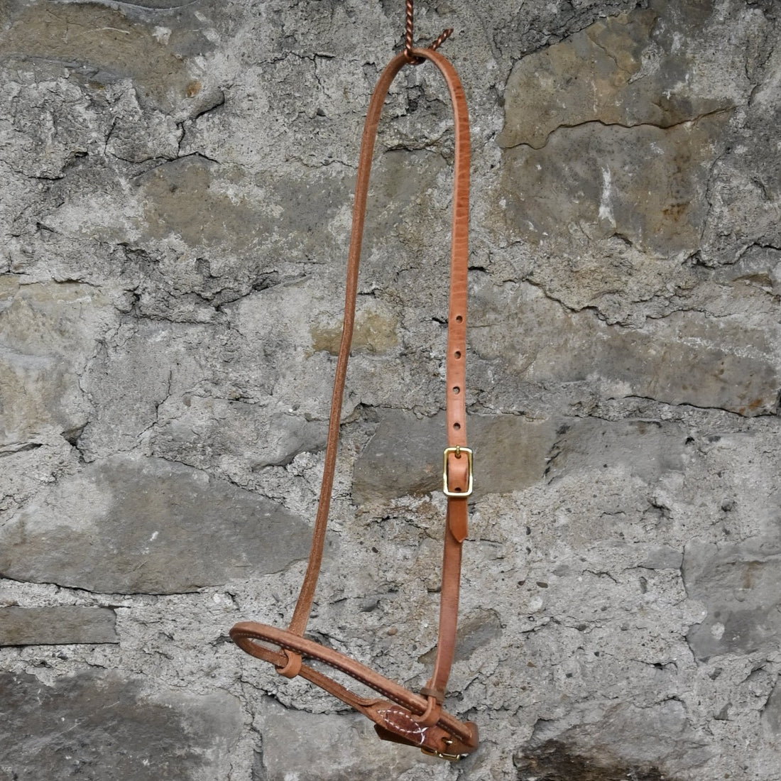 Rolled Cavison view of headstall