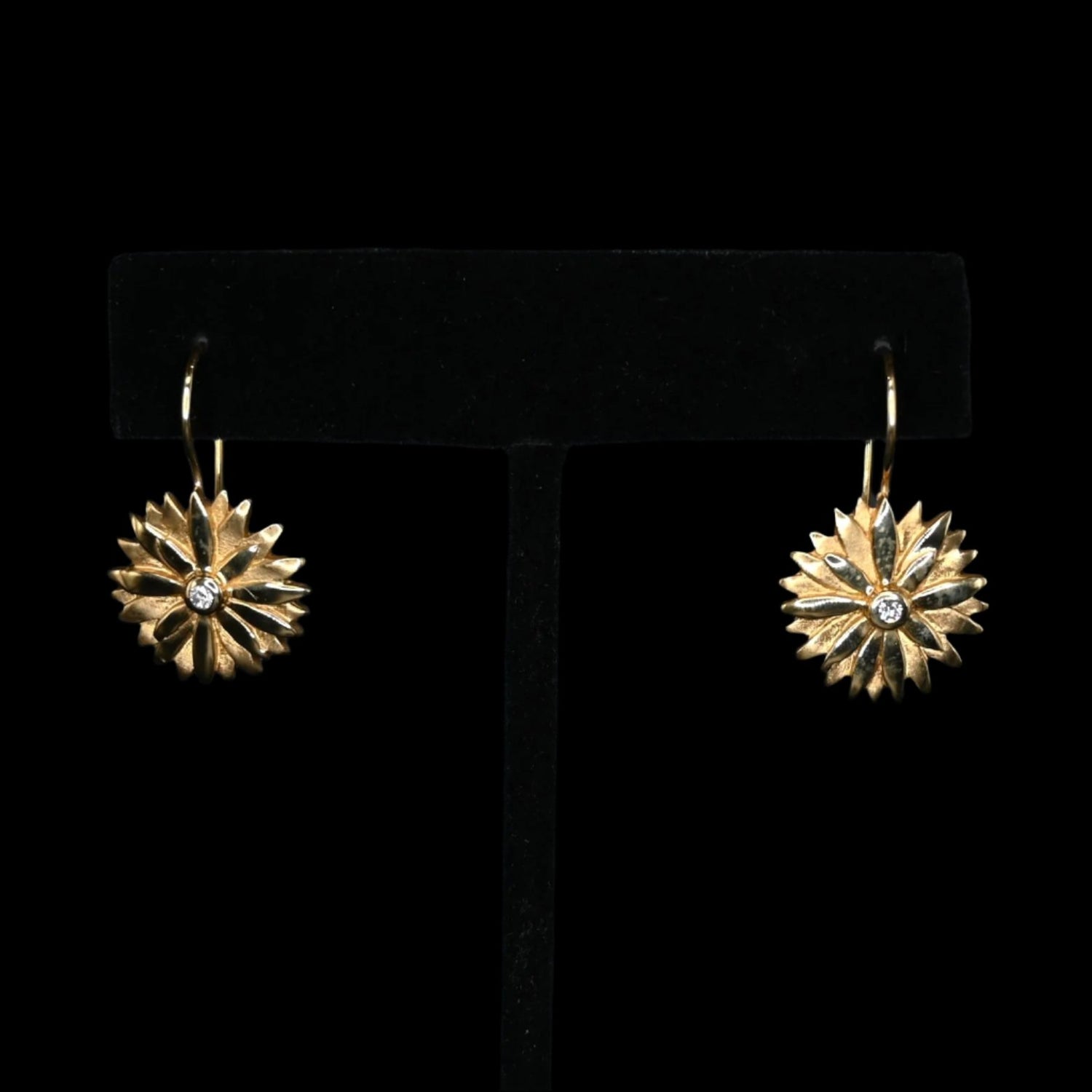 View of earrings